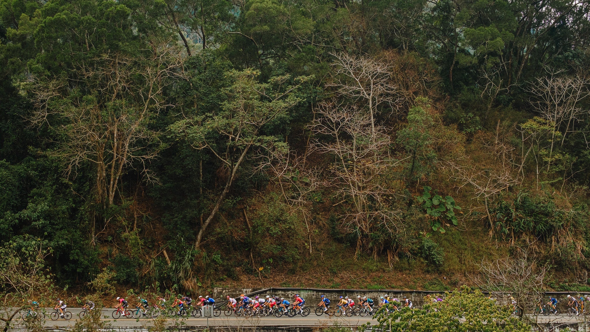 More Than a Store: Why Taiwan’s Convenience Stores Are a Cyclist’s Best Friend