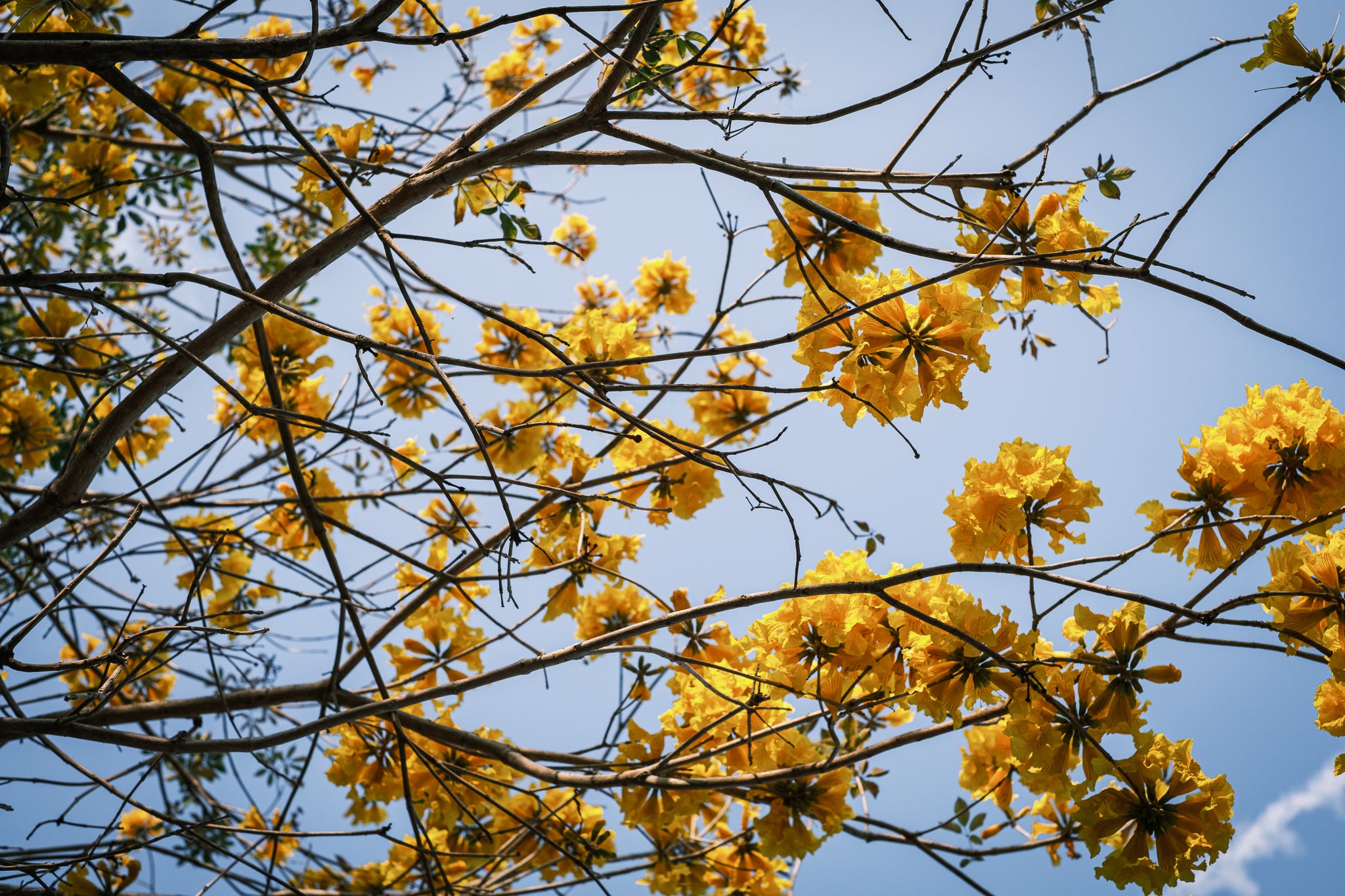 光影騎跡：台中舊城日與夜的雙重漫遊